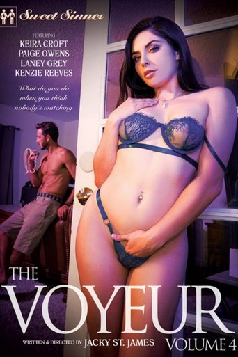 Poster of The Voyeur 4