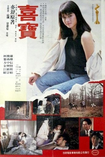 Poster of The Story of Hay Bo