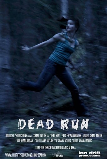 Poster of Dead Run