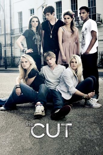 Poster of The Cut