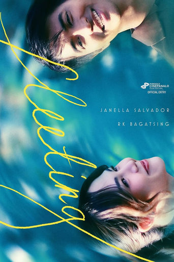 Poster of Fleeting