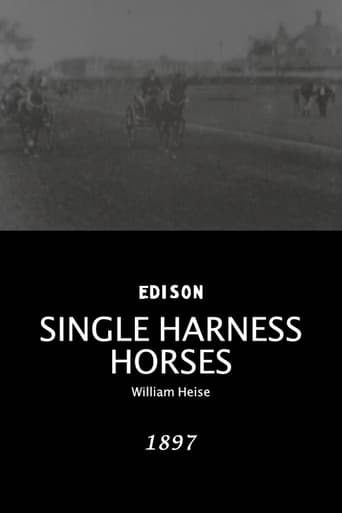 Poster of Single harness horses