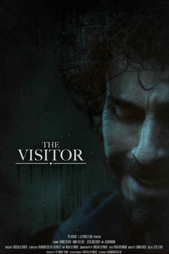 Poster of The Visitor