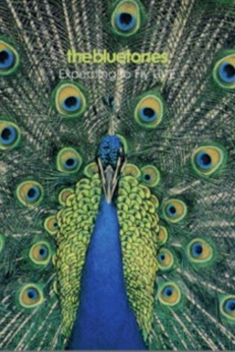 Poster of The Bluetones: Expecting To Fly Live