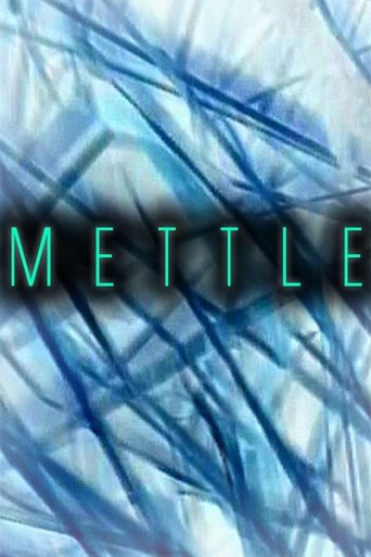 Poster of Mettle