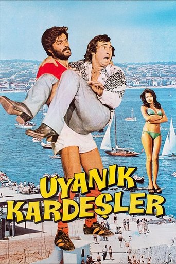 Poster of Uyanık Kardeşler