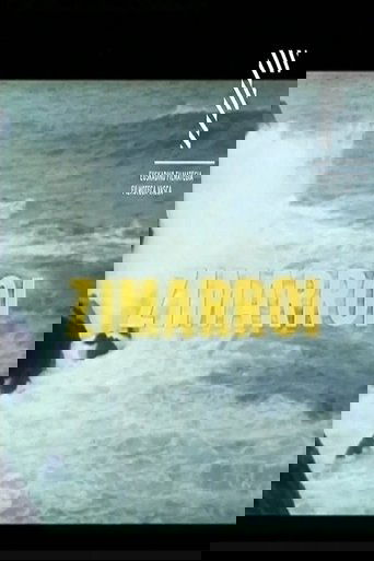 Poster of Zimarroi
