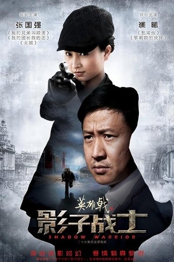 Poster of 英雄戟之影子战士