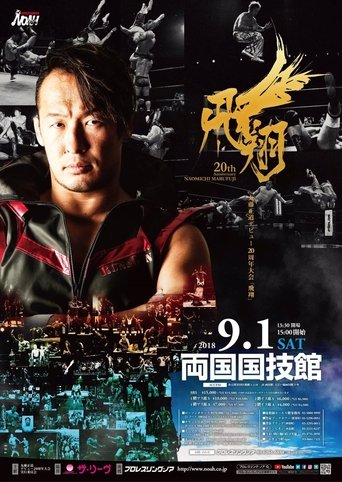 Poster of NOAH: Naomichi Marufuji 20th Anniversary Show