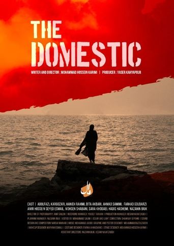 Poster of The Domestic