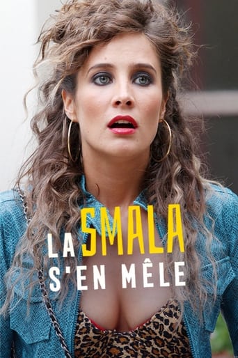 Poster of La smala s'en mêle