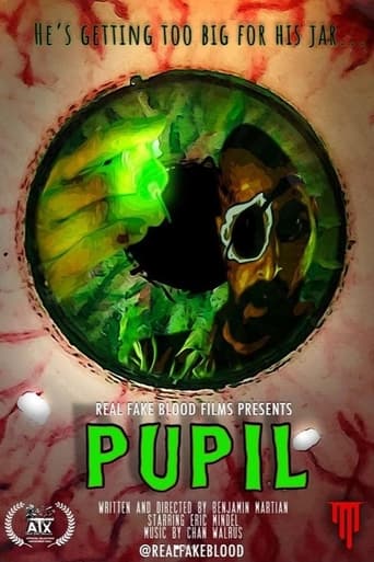 Poster of Pupil