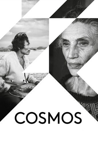 Poster of Cosmos
