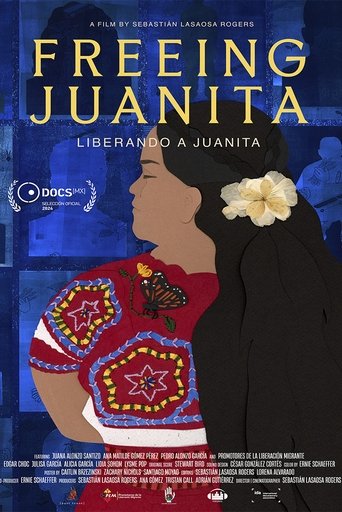 Poster of Freeing Juanita