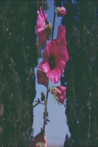 Poster of The Flowers Stand, Silently Witnessing