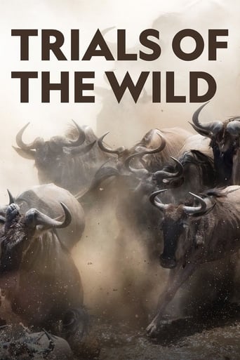 Poster of Trials of the Wild