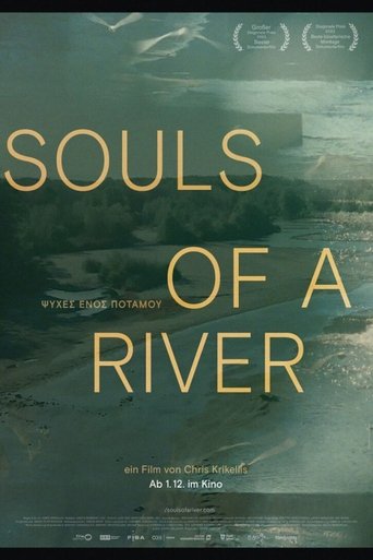 Poster of Souls of a River