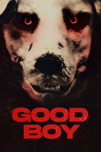 Poster of Good Boy