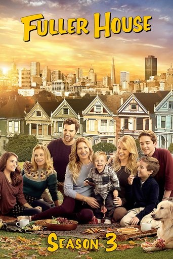 Portrait for Fuller House - Season 3