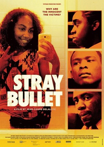 Poster of Stray Bullet