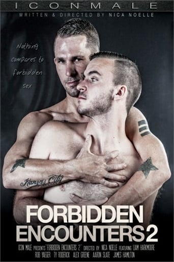 Poster of Forbidden Encounters 2