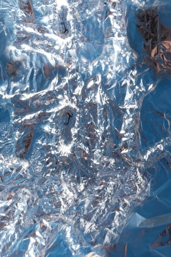 Poster of FOIL