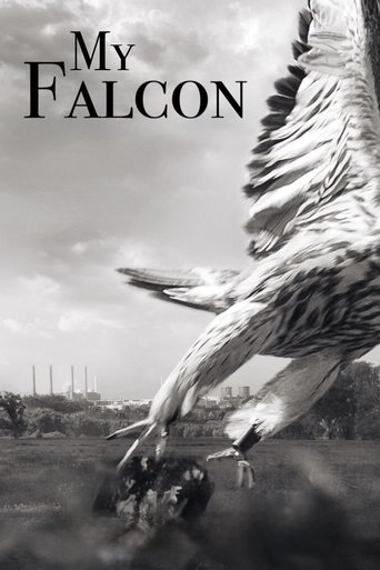 Poster of My Falcon