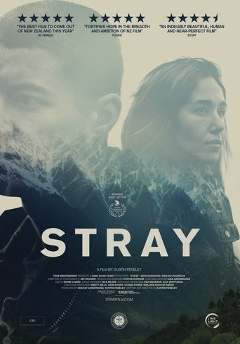 Poster of Stray