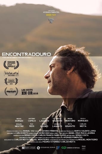 Poster of Encontradouro