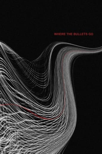 Poster of Where the Bullets Go