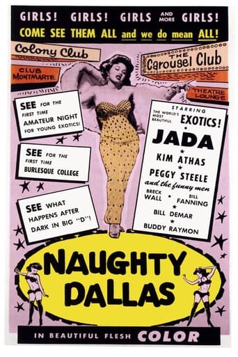 Poster of Naughty Dallas