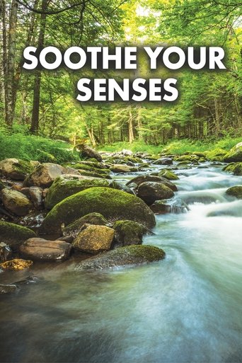 Poster of Soothe Your Senses