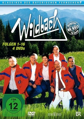 Poster of Wildbach