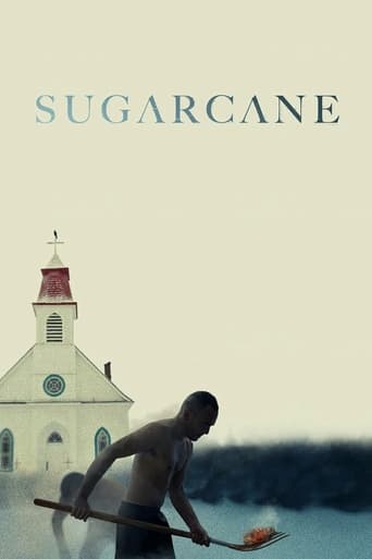 Poster of Sugarcane