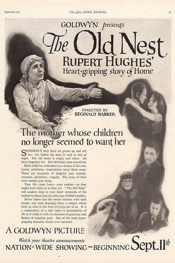Poster of The Old Nest