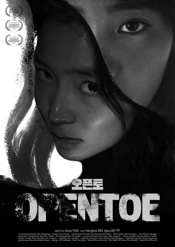 Poster of Opentoe