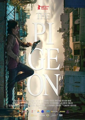 Poster of The Pigeon