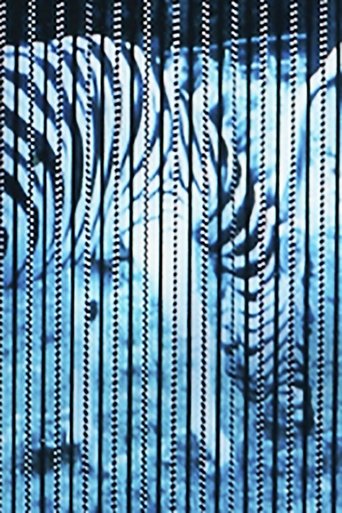 Poster of Zebras