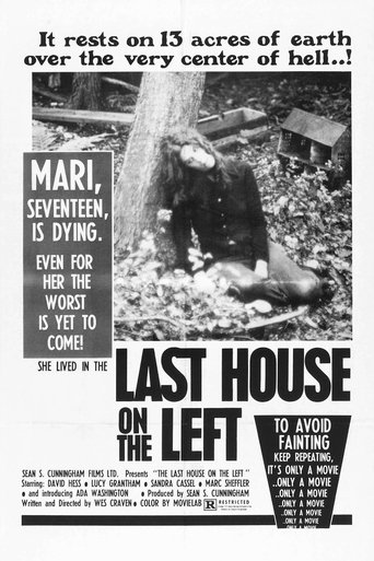Poster of The Last House on the Left
