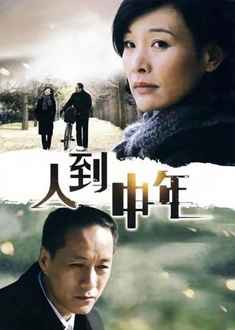 Poster of 人到中年