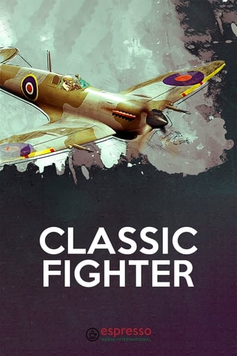 Poster of Classic Fighter