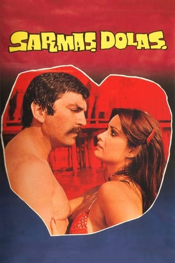 Poster of Sarmaş Dolaş