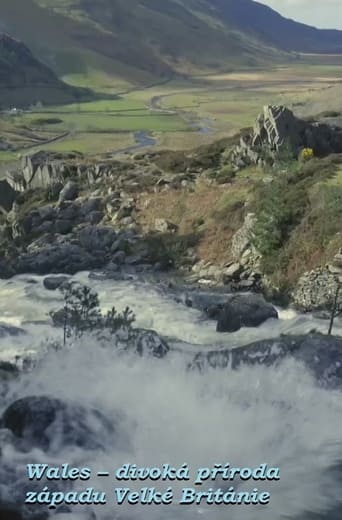 Poster of Wales: Great Britain's Wild West