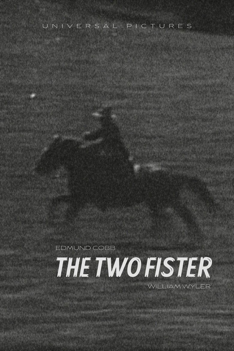 Poster of The Two Fister