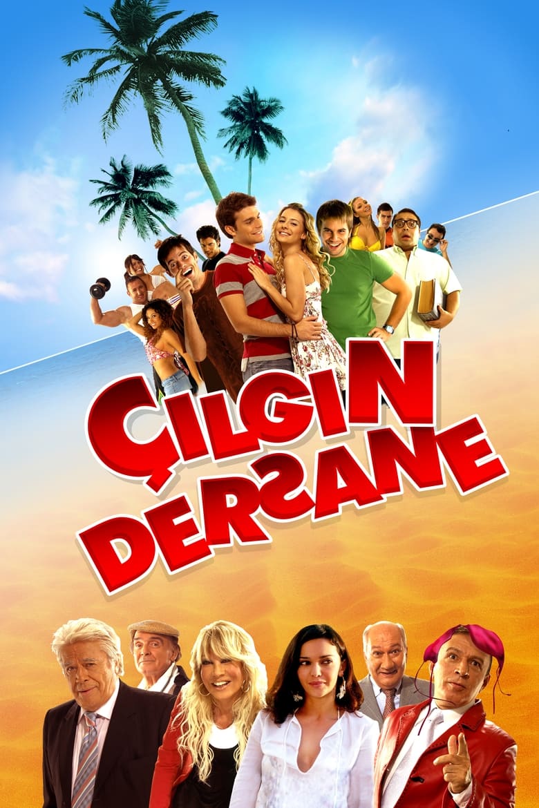 Poster of Çılgın Dersane