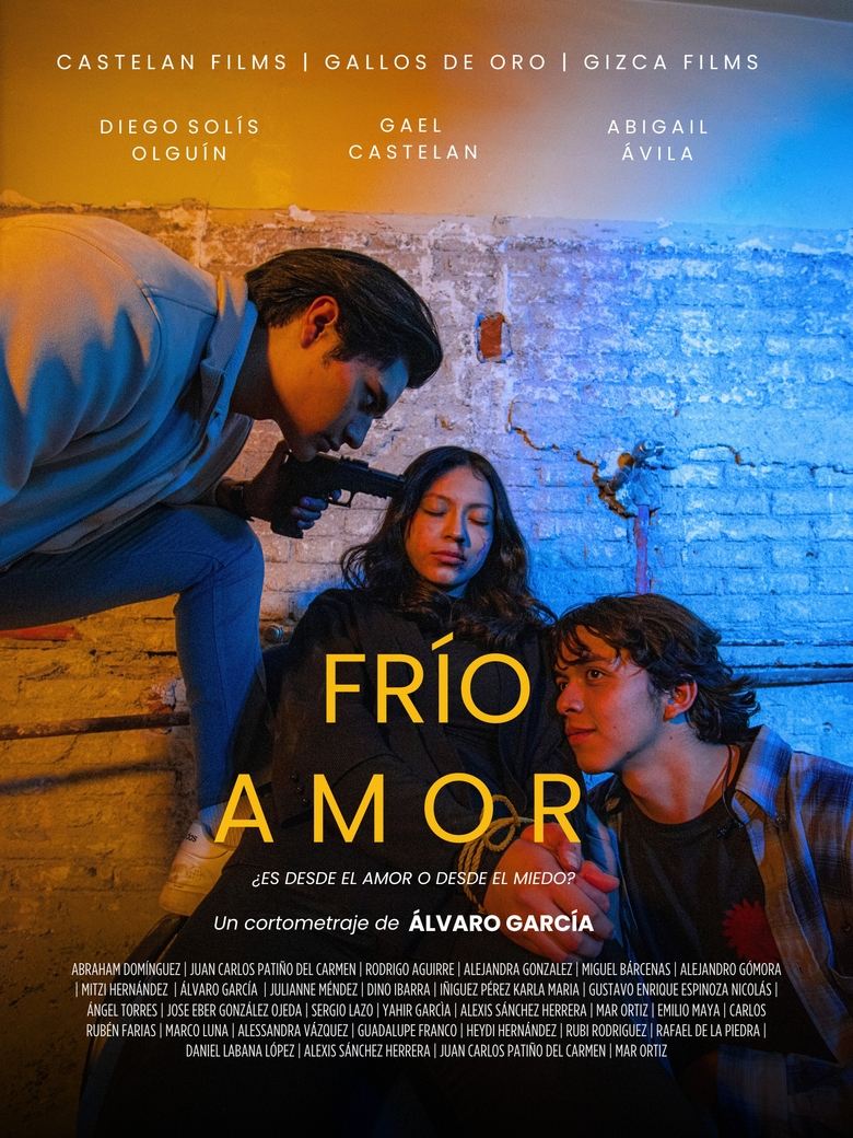 Poster of Frío Amor