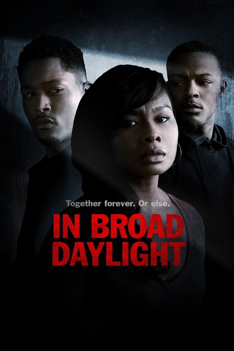 Poster of In Broad Daylight