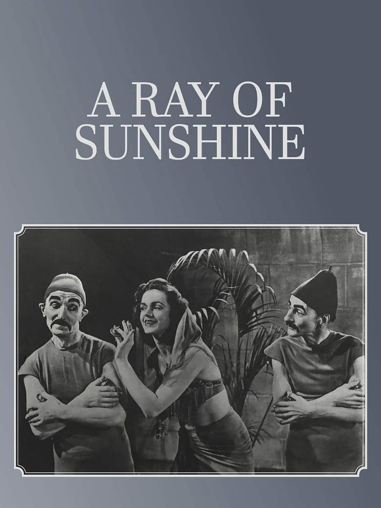 Poster of A Ray of Sunshine