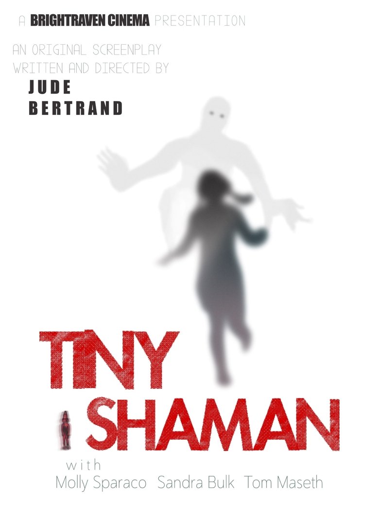 Poster of Tiny Shaman