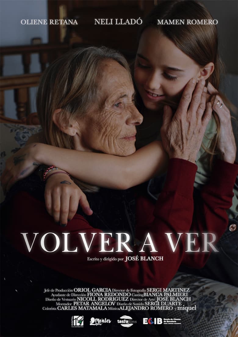 Poster of Volver a ver